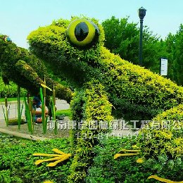 青蛙五色草立體花壇造型