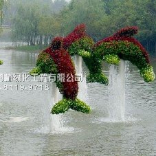 立體花壇造型海豚造型