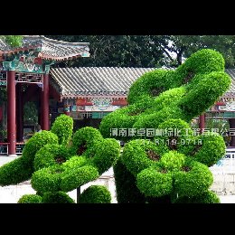 天津水上公園立體花壇