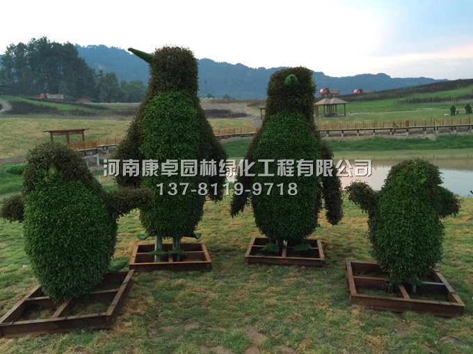 重慶橫山鳳凰花海五色草造型