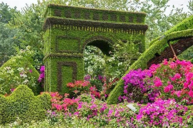 植物綠雕造景 呈現“絲綢之路”“一帶一路”美好愿景