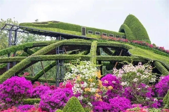 植物綠雕造景 呈現“絲綢之路”“一帶一路”美好愿景