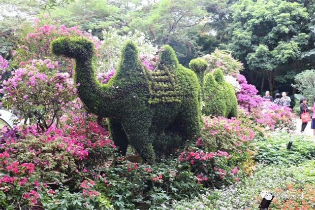 植物綠雕造景 呈現“絲綢之路”“一帶一路”美好愿景