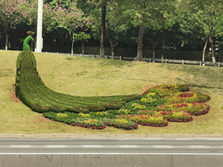 五色草造型,立體花壇,綠雕