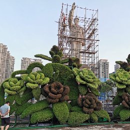   貴陽牡丹花卉立體花壇