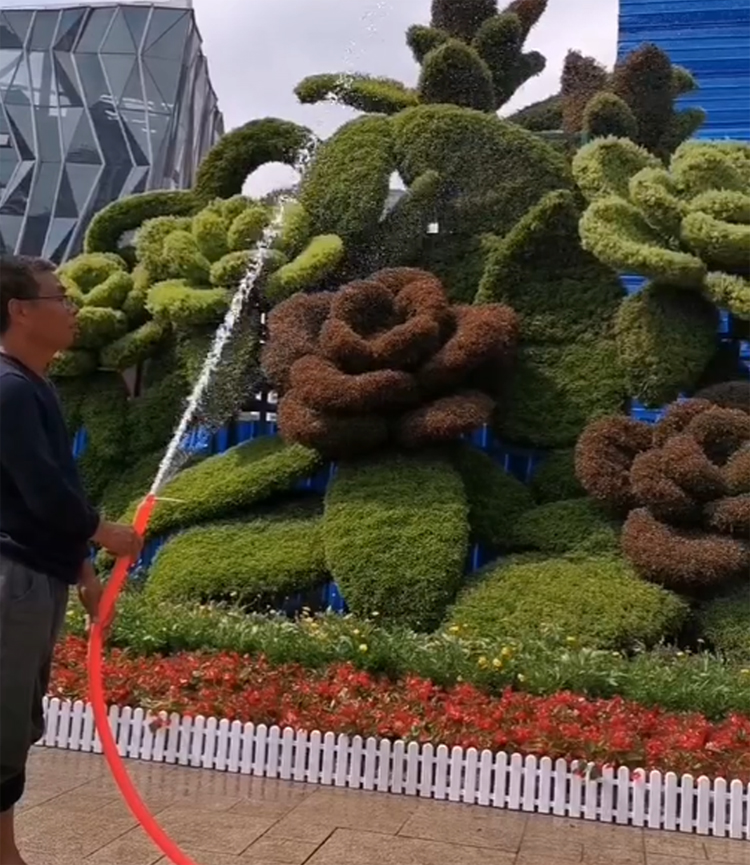 五色草造型,立體花壇,綠雕