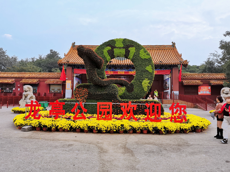 立體花壇,五色草造型,綠雕