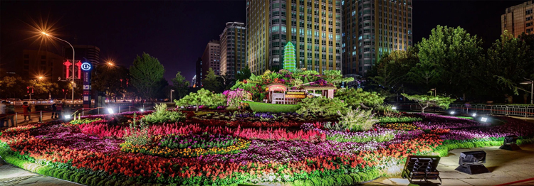 立體花壇,五色草造型,綠雕,菊花造型